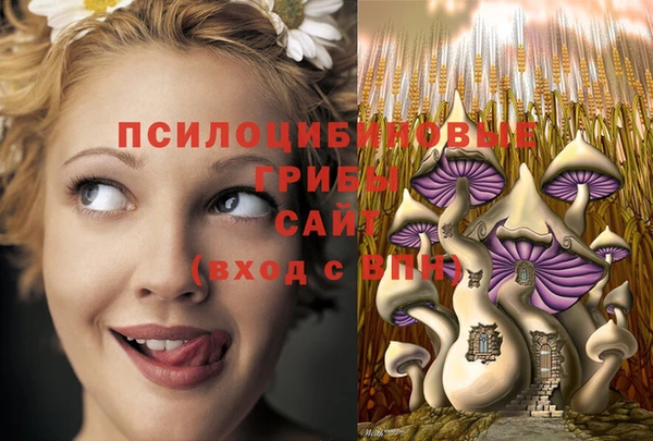 первитин Инта