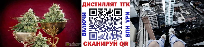 Купить закладки  Избербаш  ТГК вейп 